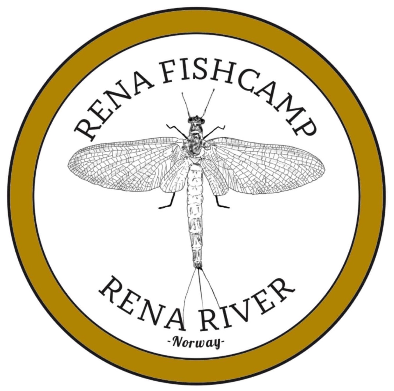 rena river mayfly