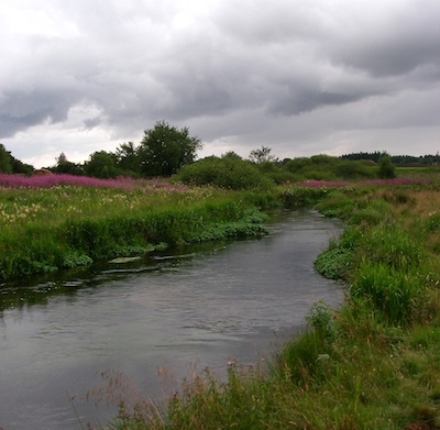 Sommerfiskeri nedstrøms Aalestrup