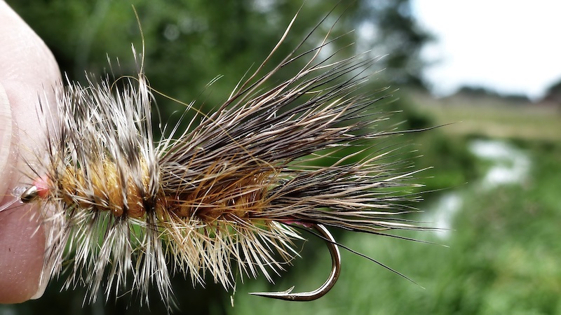 Stor flue i et mindre vandløb atraktor big fly smaal water
