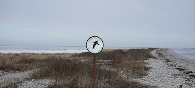 100307_besser_is