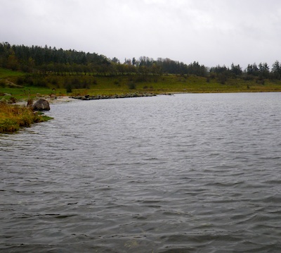 101023_kongsdal_fod