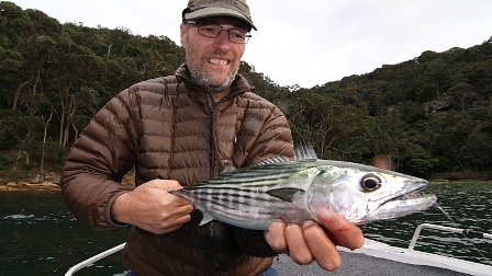 111206_bonito1