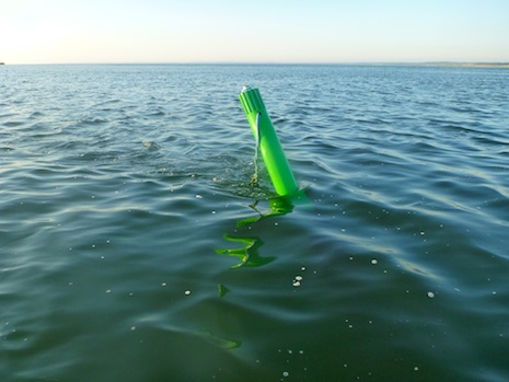 120528_pinse3