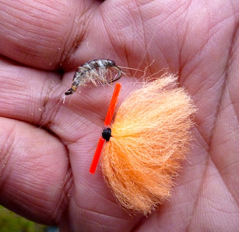 Gammarus og strikeindikator 140101 milldam2