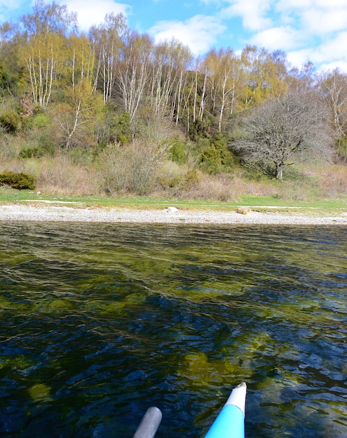 140411 bramslev loevspring vand