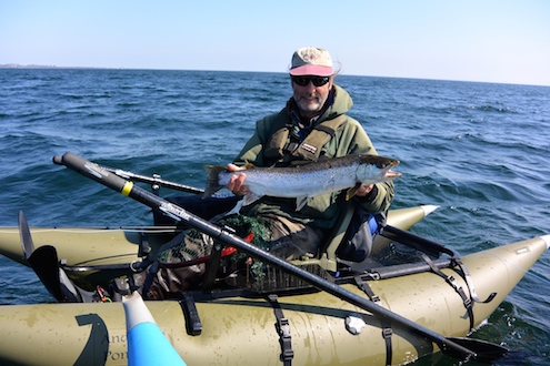140419 svarte jan fisk