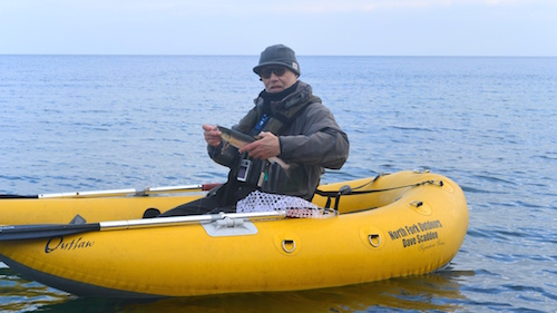 150118 boegeskov erik fisk