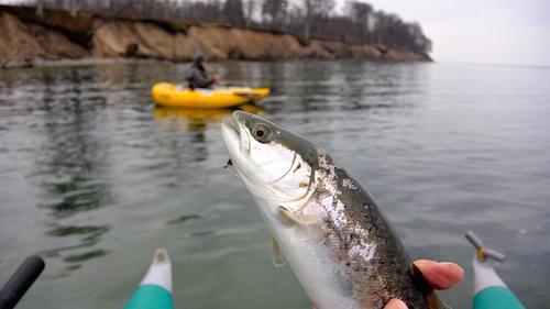 150118 boegeskov fisk erik baggrund