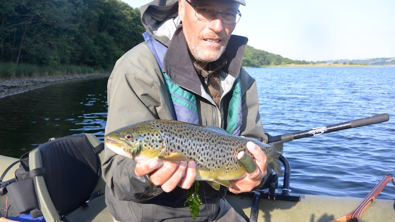 150801 eagel bay hl trout