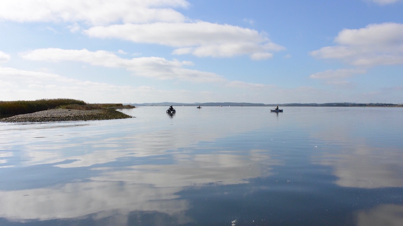 151003 Randers Fjord stenrevet vejr
