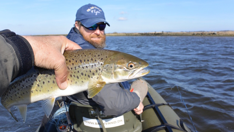 160319 guide kanal kent hl seatrout