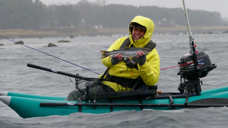 160330 sverige skillinge