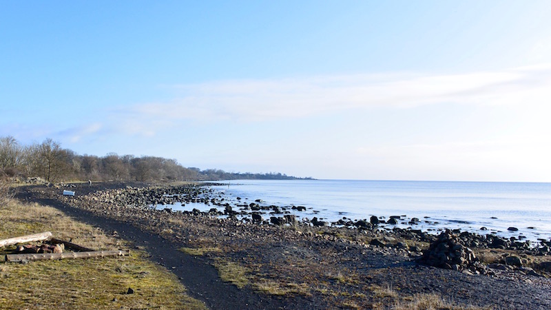 160331 brantevig strand