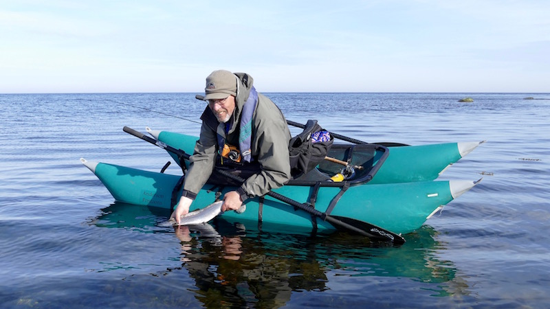 Catch & Release 160402 Vig release