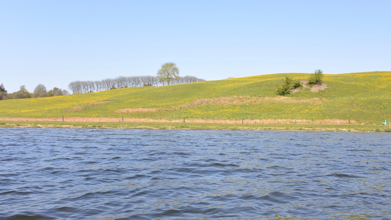 160508 glenstrup spring