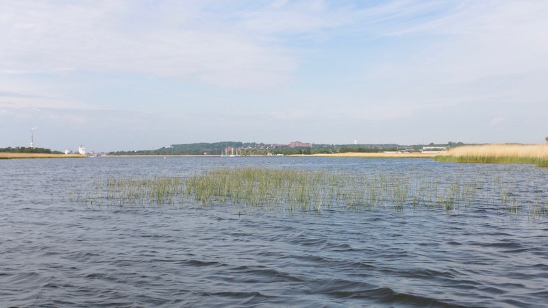 Randers set fra Bredningen 160522 bredning randers