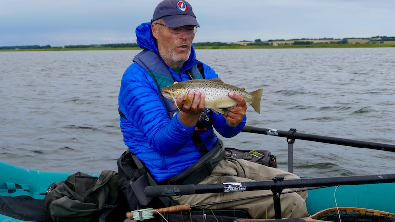 160721 randers fjord udbyhoj trout