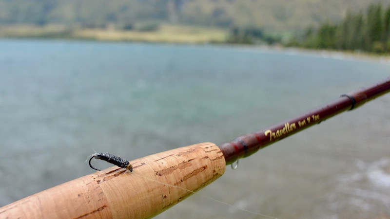 170206 lake wakatipu flue