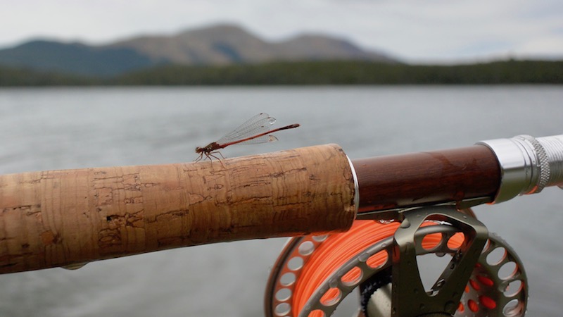 170211 lake mavora dragon