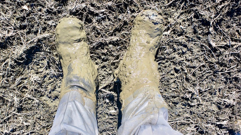 170215 aswish flat muddy boots