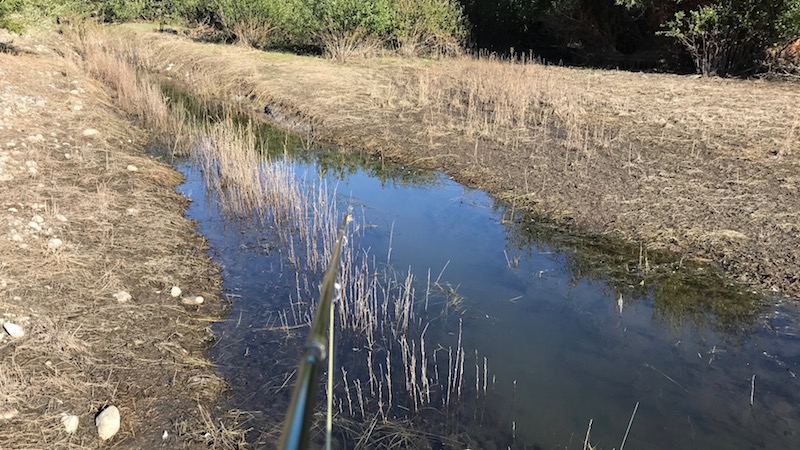 170216 Ashwick Flat small stream