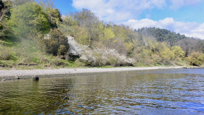 Mariager Fjord 170425 Hobro lystboat spring