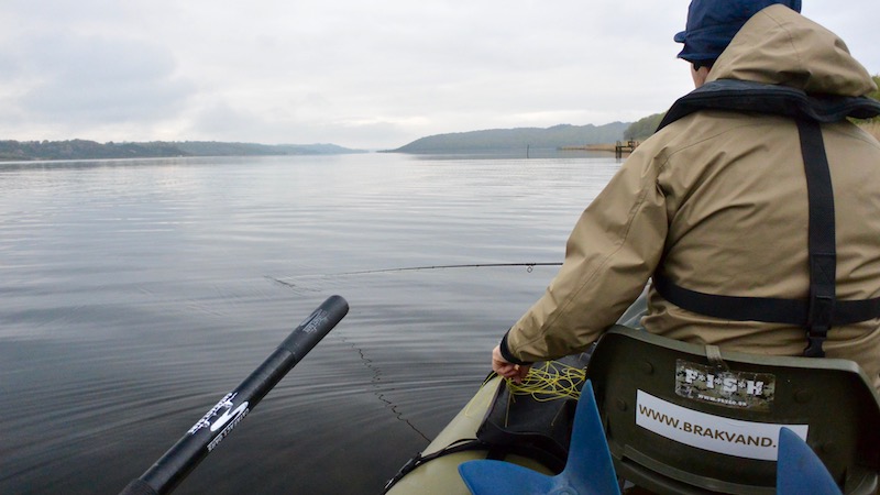170511 mariager fjord guide morning