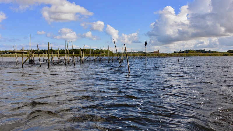 170915 randers fjord nets