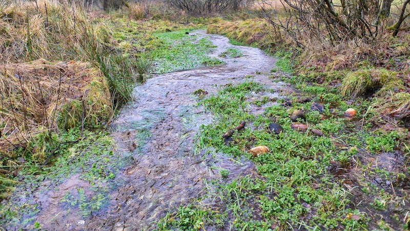 180101 milldam creek