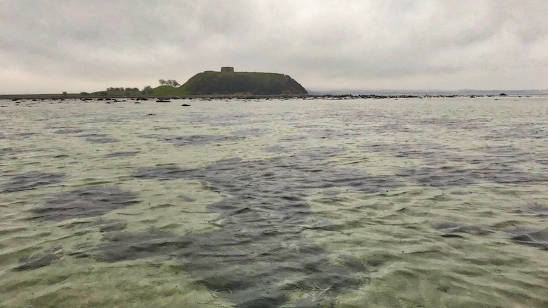 Kalø 180110 kaloe klartvand ruin