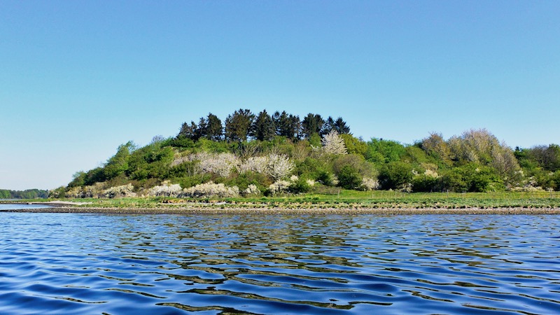 Mariager Fjord 180507 mariager spring