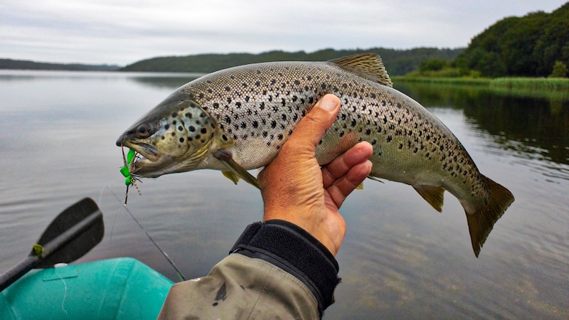 180620 eaglebay trout