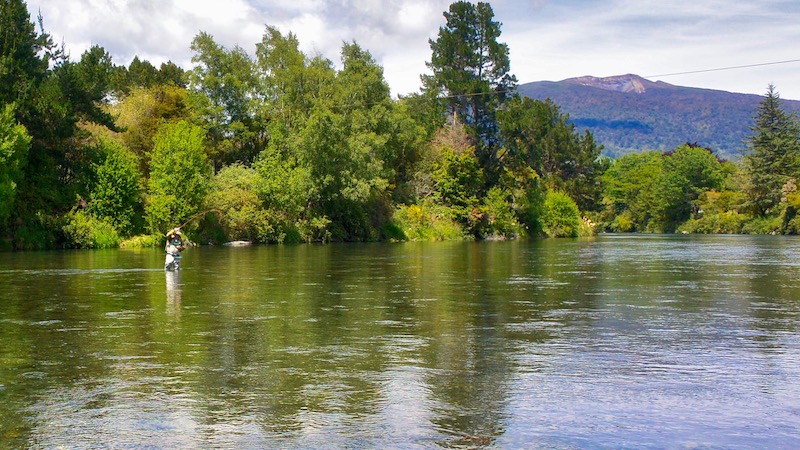 181117 tongariro river friesfigting
