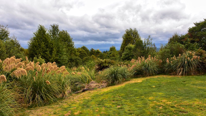 181201 taupo wieu