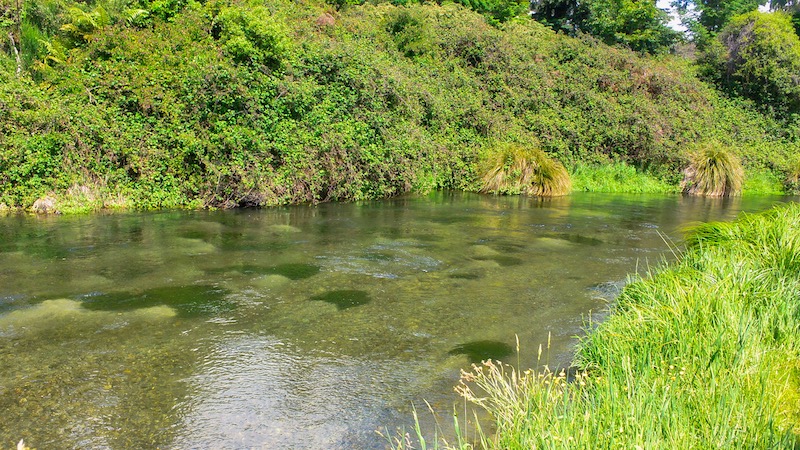 181202 waitahanui clear