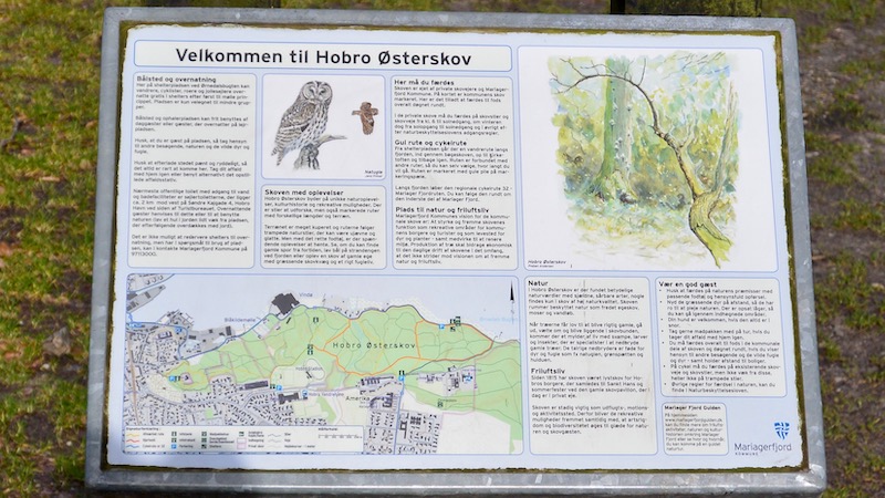 190318 ornedalen infoskilt