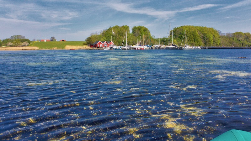 190430 vive harbor