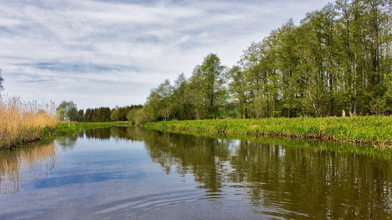 190514 northriver fladbro forrest