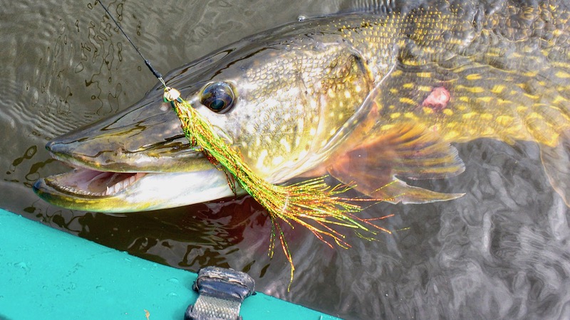 190514 northriver pike fly