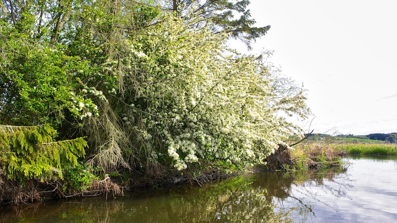 190514 northriver spring