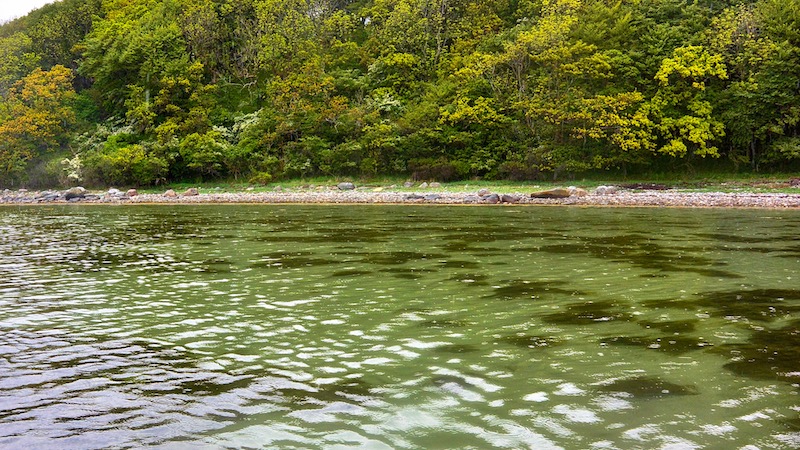 Følle strand 190517 hestehaven clear water