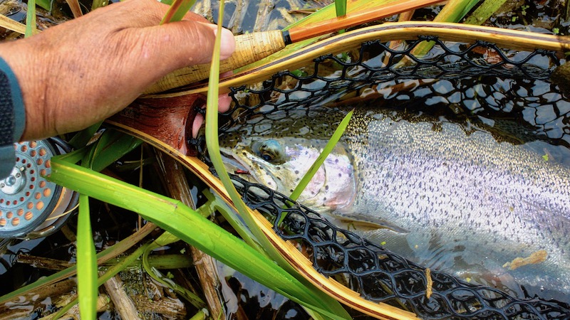 190527 milldam rainbow net