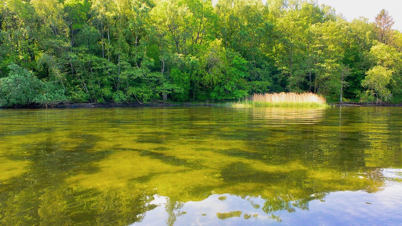 190604 mariager low water