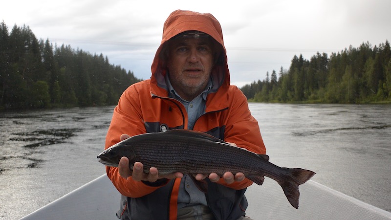 190706 rena rune