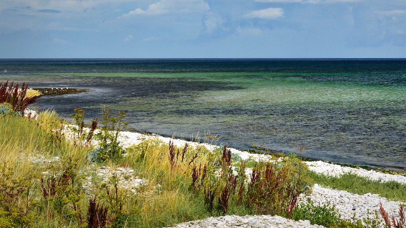 190807 djursland karlby klint coast