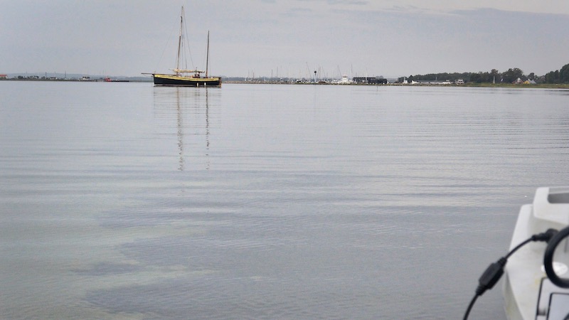 190818 randers fjord stille