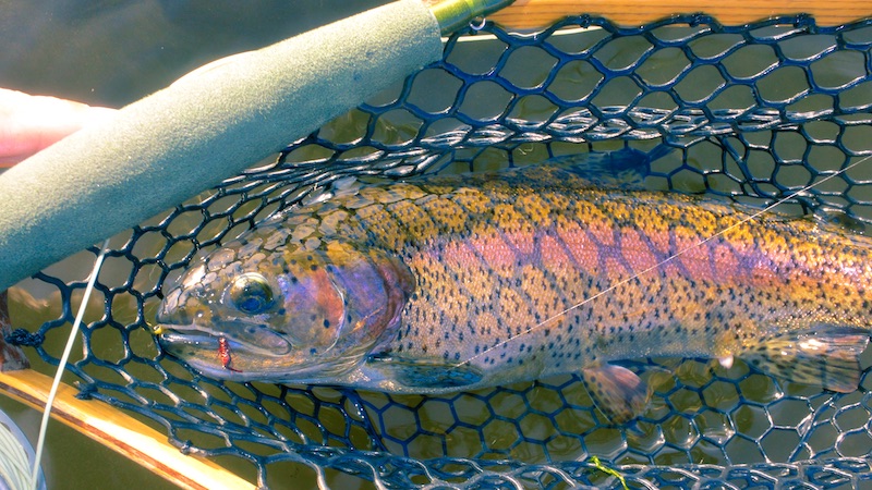 111021 milldam rainbow