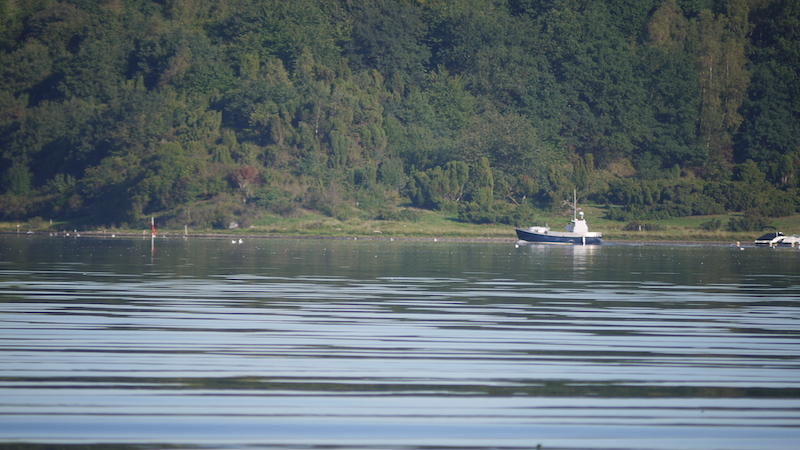 190903 eaglebay boat fighter