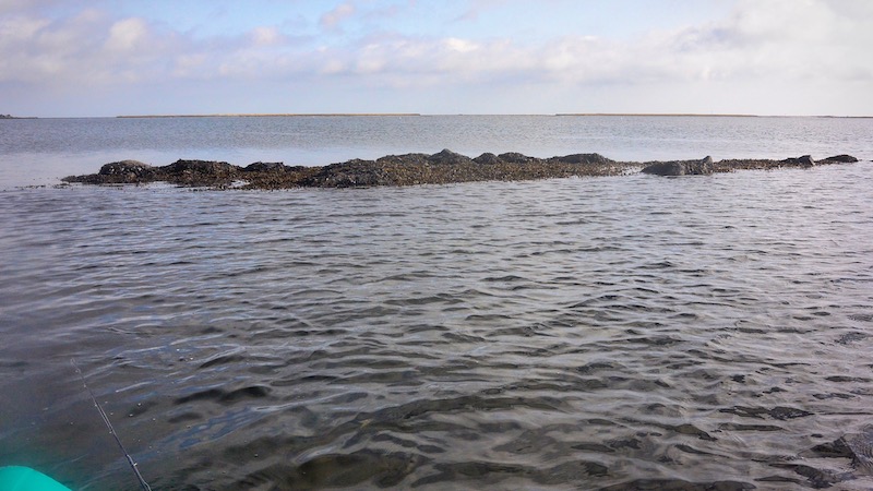 191008 udbyhoj reef