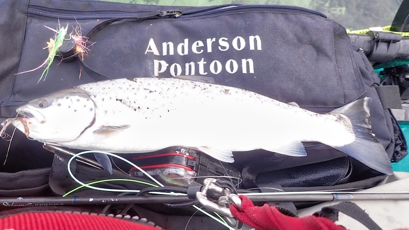 191101 moen blank trout